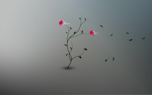 523205 (a): :1920x1200